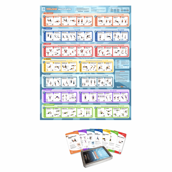 Image boutique - OFFRE Poster + Fiches SportFitPro - EPS 3 Volume musculaire 2 Kit d'entraînement EPS 3 - VOLUME MUSCULAIRE