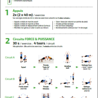 Pré-saison Handball - aperçu 1 Pré-saison Handball - Programme 5 semaines