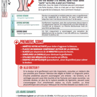 Guide des BLESSURES du SPORTIF : Premiers Soins et Réathlétisation