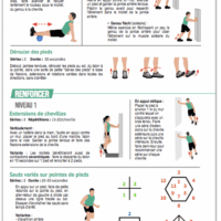 Guide des BLESSURES du SPORTIF : Premiers Soins et Réathlétisation
