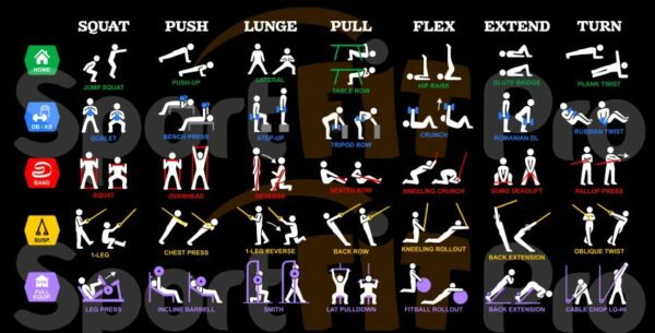 Exercices de renforcement musculaire imprimés sur la Gourde Métal Édition FITNESS